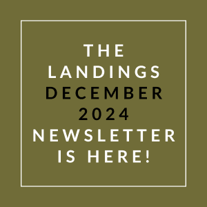 The image announces the availability of "The Landings December 2024 Newsletter."