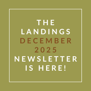 The image announces the availability of the Landings December 2025 newsletter.