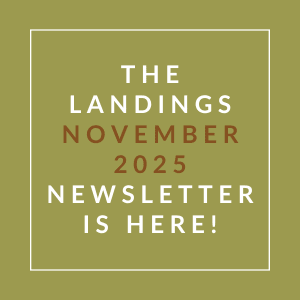The image announces the availability of the Landings November 2025 newsletter.