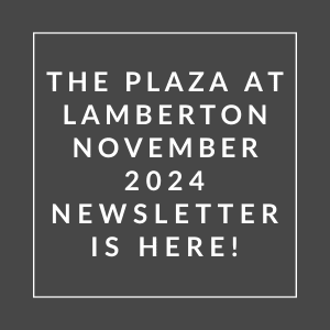the logo for the plaza at lambeth november 2024 newsletter is here