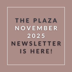 The image announces the availability of The Plaza November 2025 Newsletter.