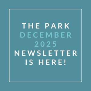 The image announces the availability of "The Park December 2025 Newsletter".