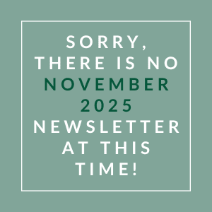 The image displays a message apologizing for the absence of a November 2025 newsletter.