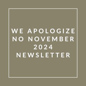 A message apologizing for the absence of a November 2024 newsletter.