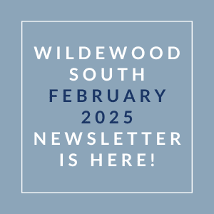 A blue square with text announcing the Wildewood South January 2025 newsletter.