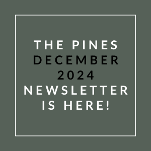 The image announces the availability of the Pines December 2024 newsletter.