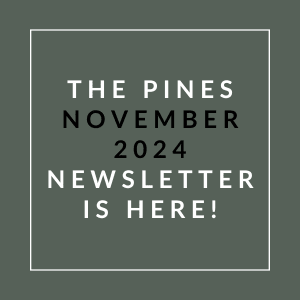 the pines november 2024 newsletter is here green background with white text