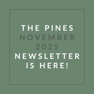 The image announces the release of "The Pines November 2025 Newsletter".