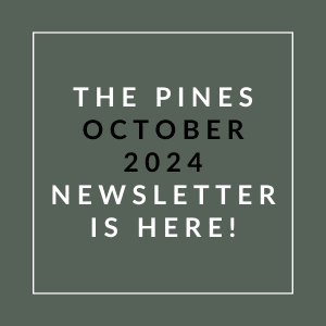 the pines october 2024 newsletter is here graphic