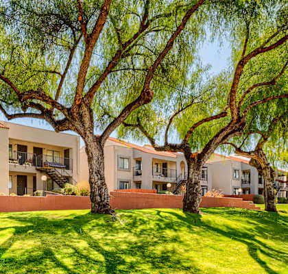 A grassy area in front of apartment buildings.