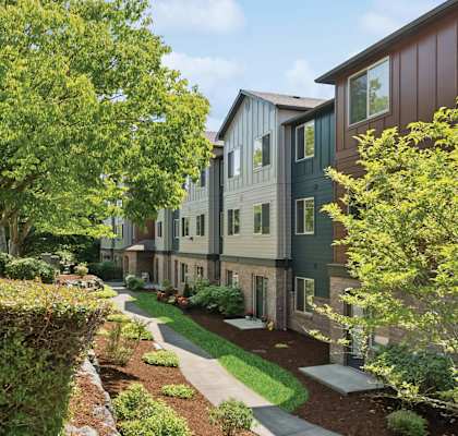 A row of houses with green trees in front.