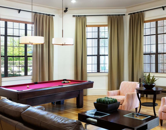 DeLayne - Clubhouse social area with billiard table