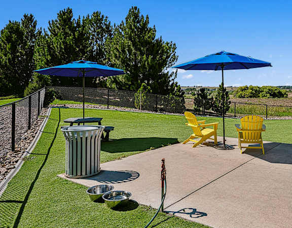 Dog park - The Rise at 2534