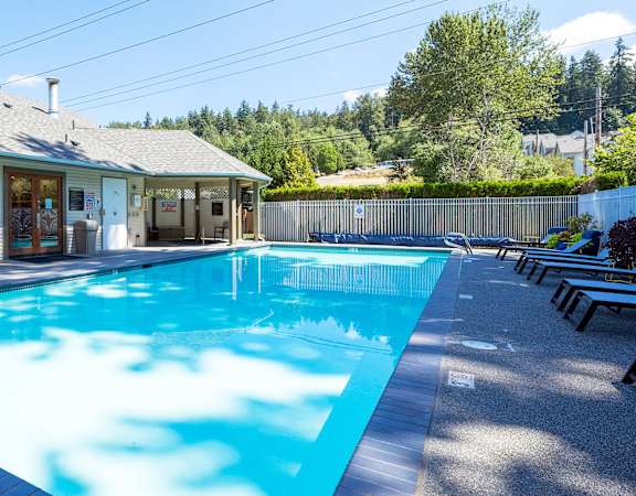 Resort-style swimming pool - Springbrook Apartments
