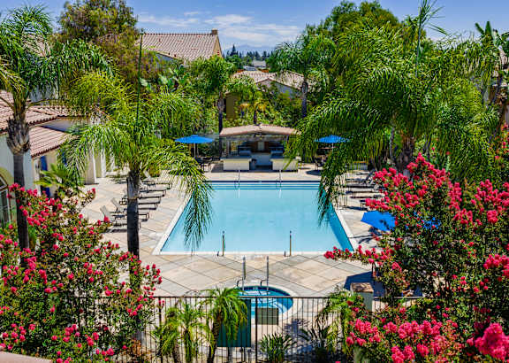 A pool surrounded by palm trees and flowers.