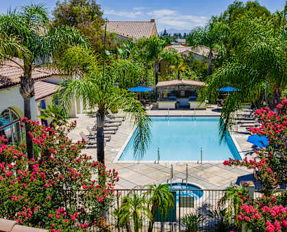A pool surrounded by palm trees and flowers.