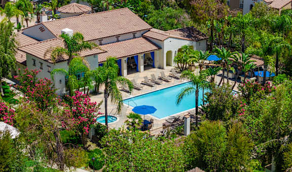 A house with a pool surrounded by trees.