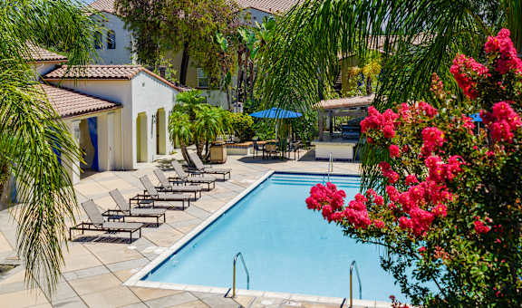 A pool surrounded by lounge chairs and umbrellas.