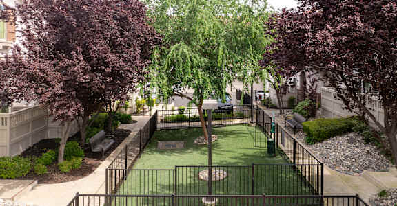A small green park with a swing set and a small playground.