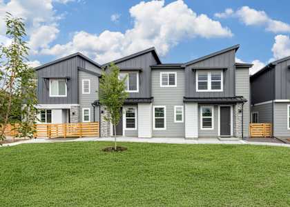 A row of modern houses with grey exteriors and wooden fences.
