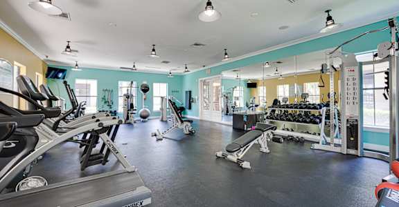 A gym with a variety of equipment including treadmills, weights, and exercise machines.