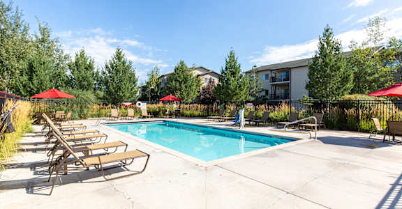 our apartments have a swimming pool with chairs and umbrellas