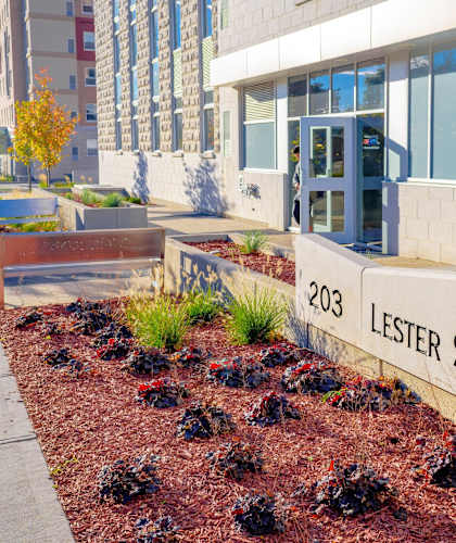 A street sign for Lester Street is in front of a building.