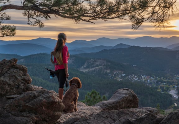 Woman with Dog Standing On Mountain Cliff Gazing At Horizon