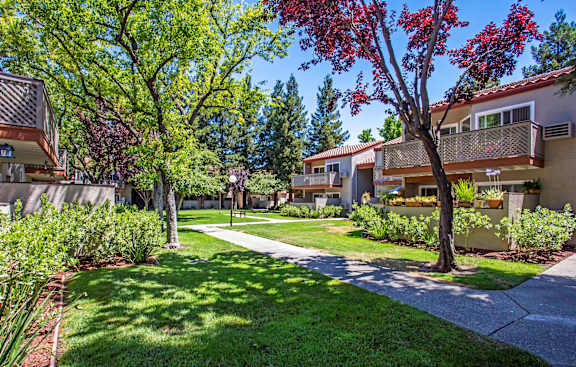 a walkway between two buildings with trees and grass