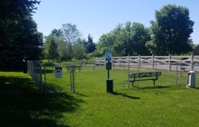 Outdoor dog park with open green space fenced in.