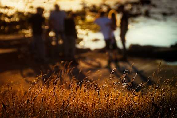 A group of people are walking on a beach at sunset.