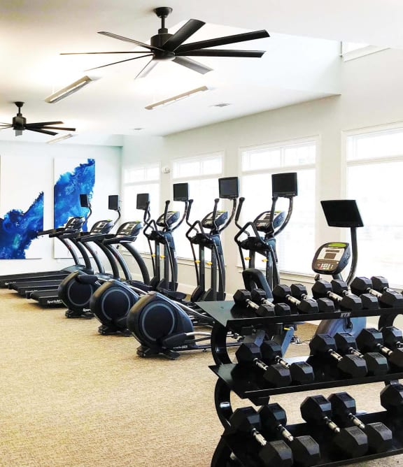 a row of exercise equipment in a room with weights