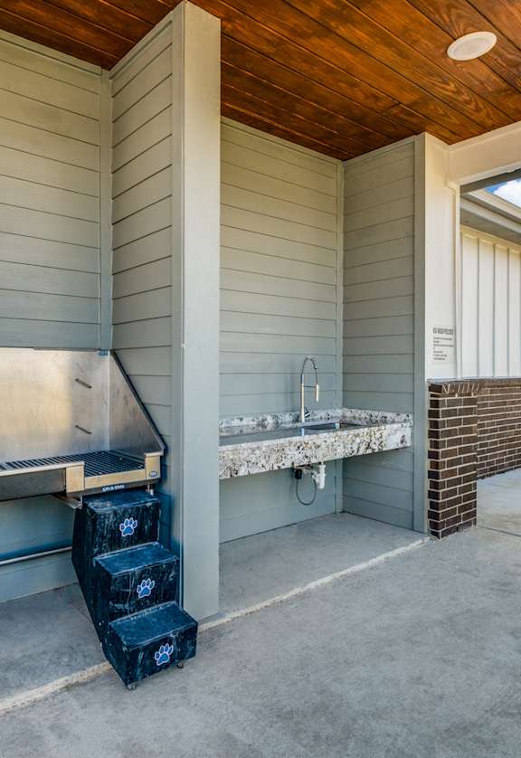 A dog is sitting on a table outside a house.