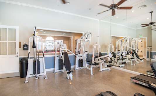 A gym with a variety of equipment including weights and cardio machines.