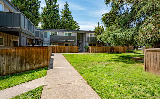 the yard of a home with a sidewalk and grass and trees