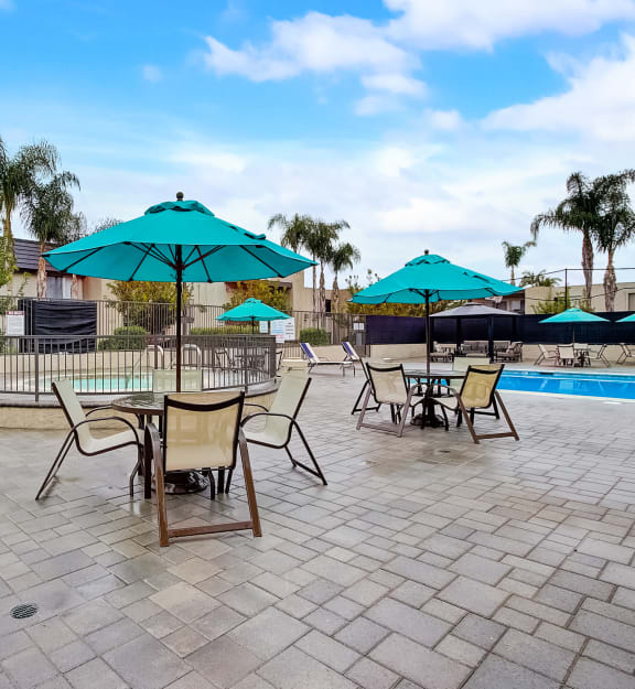 take a dip in the pool at the enclave at woodbridge apartments in sugar land, tx