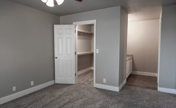 a bedroom with a closet and a ceiling fan