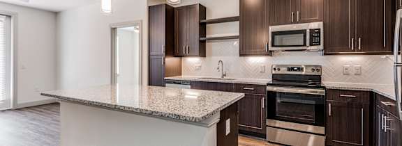 Modern kitchen with dark wood cabinets and stainless steel appliances at Park Hill, Dallas, TX, 75211