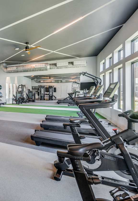 A gym with a variety of equipment including treadmills, weights, and a pull-up bar.