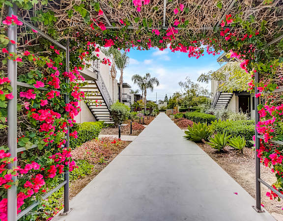 a walkway with pink flowers on both sides of it