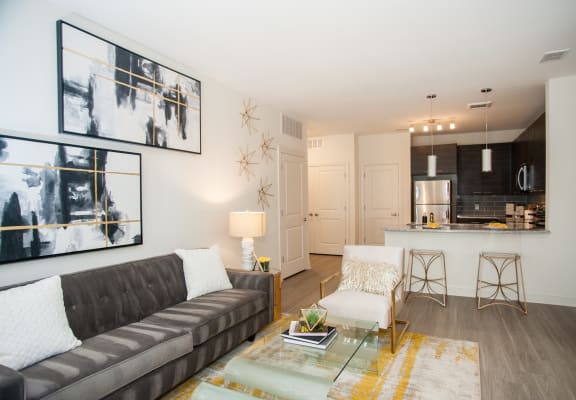 Modern Living Room at Fifth Street Place Apartments, Charlottesville