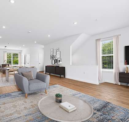 A living room with a grey couch and a rug.