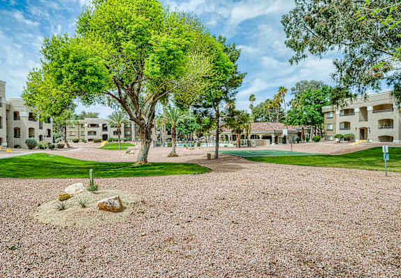 a park with trees and a fountain in a courtyard