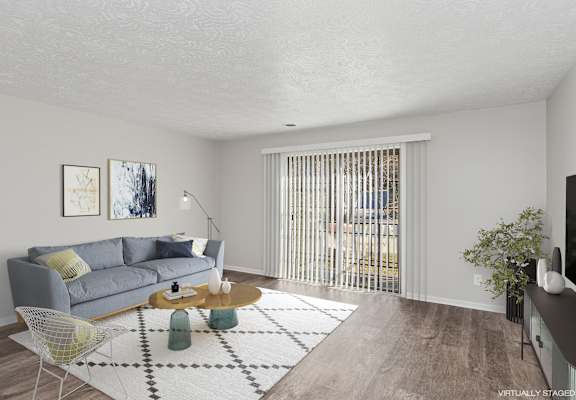 A living room with a grey couch, a coffee table, and a rug.