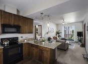Thumbnail 15 of 26 - large kitchen and living room space