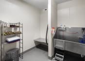 Thumbnail 22 of 26 - pet spa with vacuum, wash tub, and treats