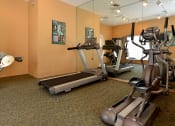 Thumbnail 6 of 12 - Interior Fitness Center Mirror Orlando Florida