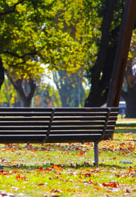 a park bench in the fall with leaves on the ground