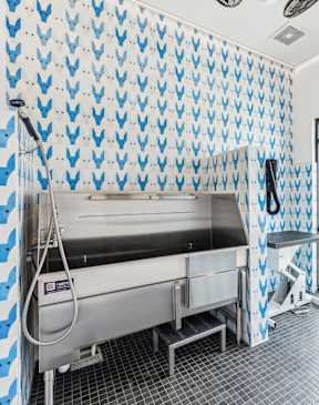 A room with a sink and a wallpapered wall.
