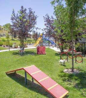 a dog park with a seesaw and agility course